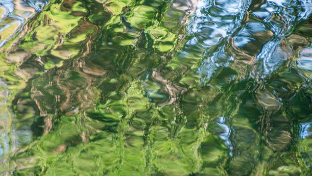 Abstract photo of water ripples of bright green and blue