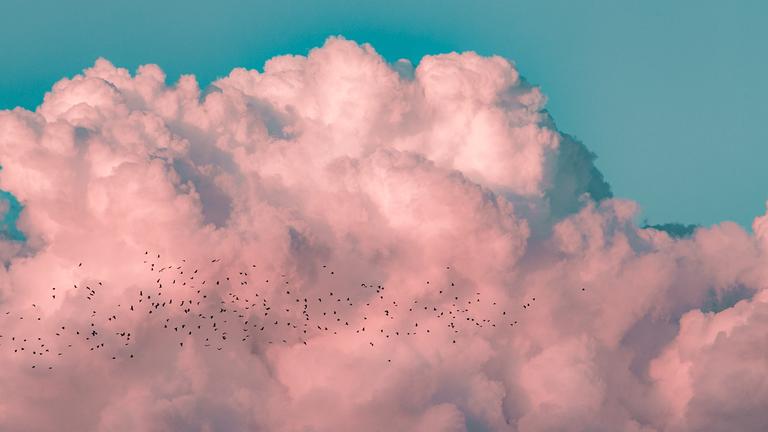 Pink clouds floating in a blue sky with birds flying through
