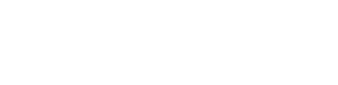 Blue Sky Leaders Certificate Program