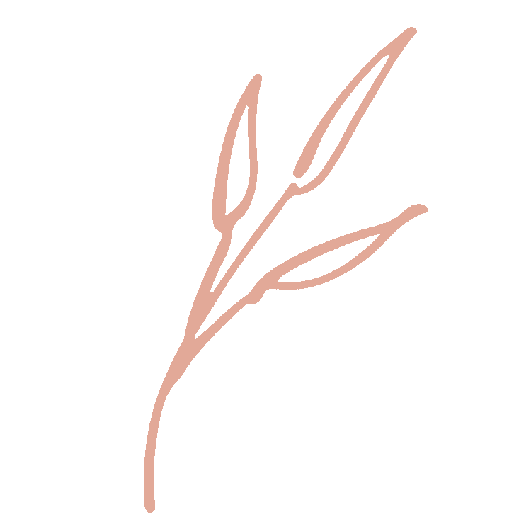 Decorative image