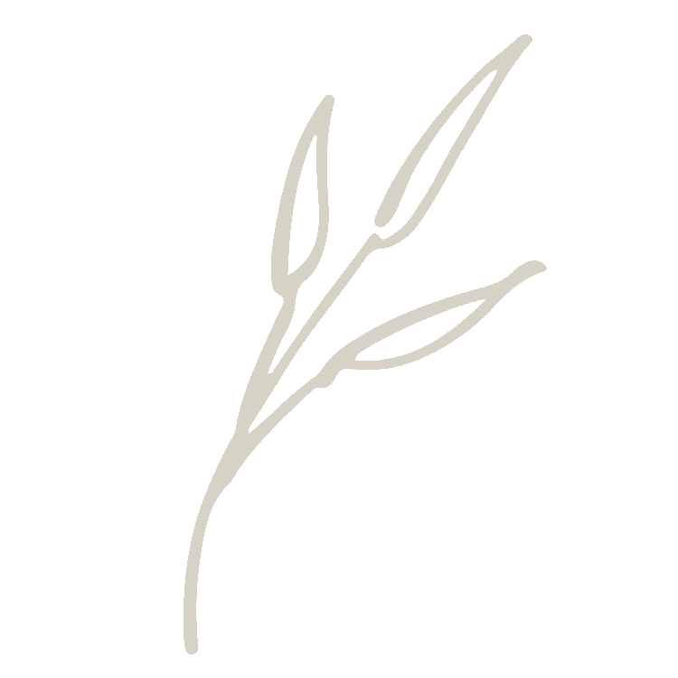 Decorative image