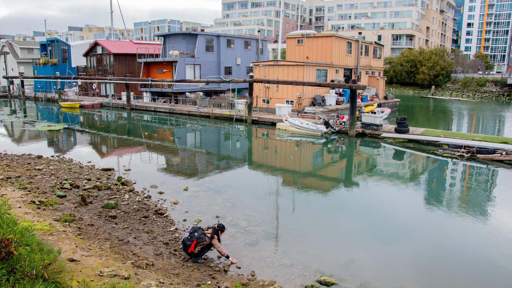 Photos from the Watershed Witness Tour hosted by CIIS alum Joshua Halpern. This event was part of the ESR 2025 Religion and Ecology Summit, which took place from April 21–23, 2025.