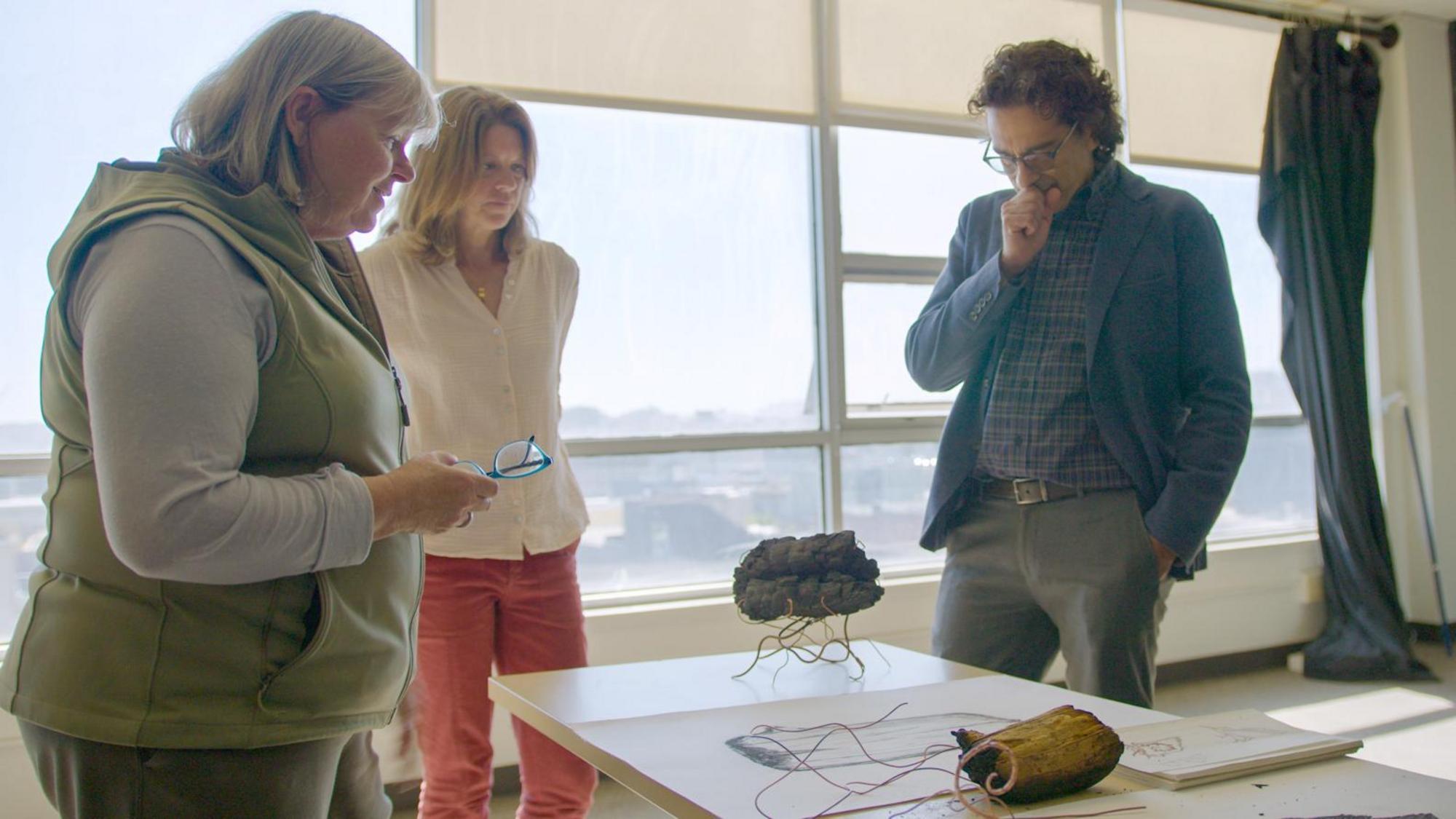 Screenshot from MFA Program Video.