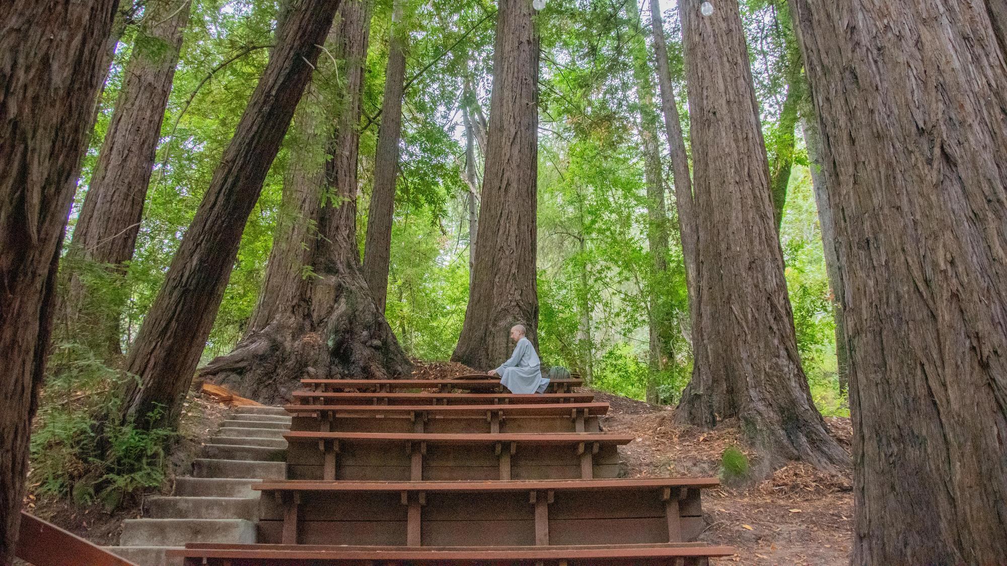 Photo from Research Psychology Intensive, Fall 2025.