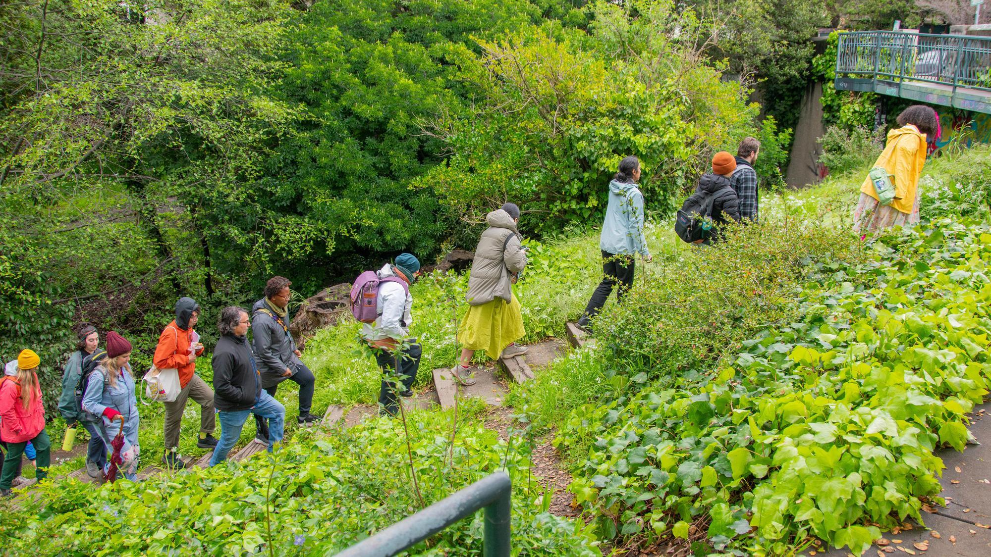 A Guided Walk With Black Forager - Discovering Hidden Bounty in Our Local Places with Alexis Nikole Nelson aka Black Forager. 