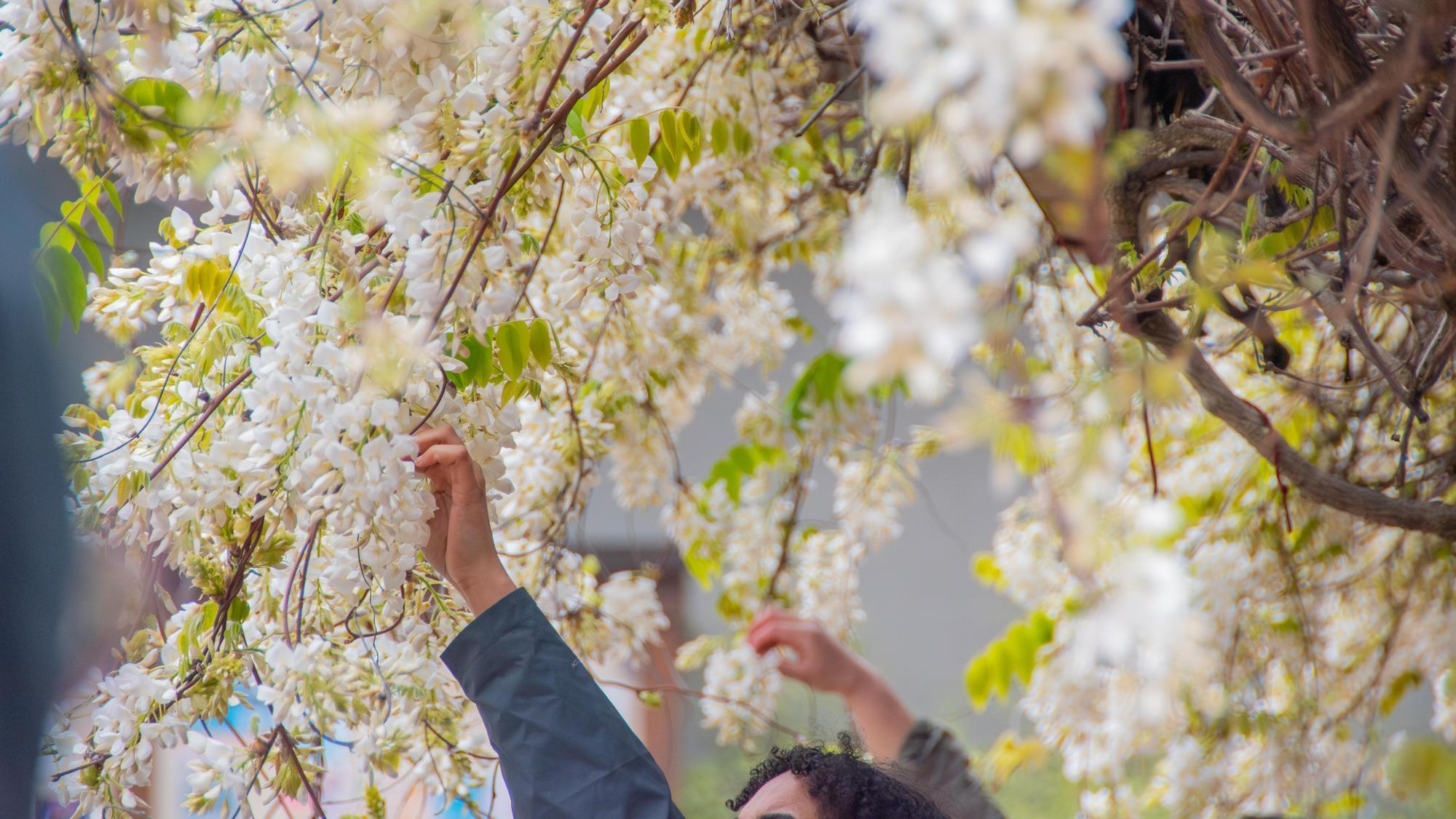 A Guided Walk With Black Forager 