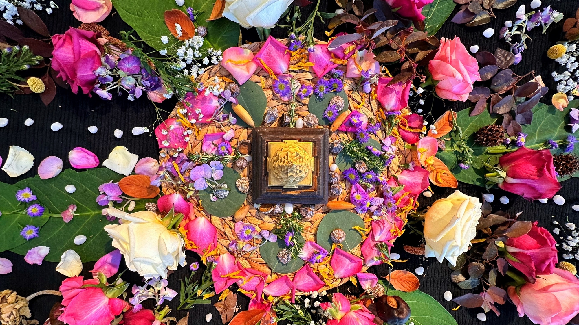 Founders Day Mandala 2026