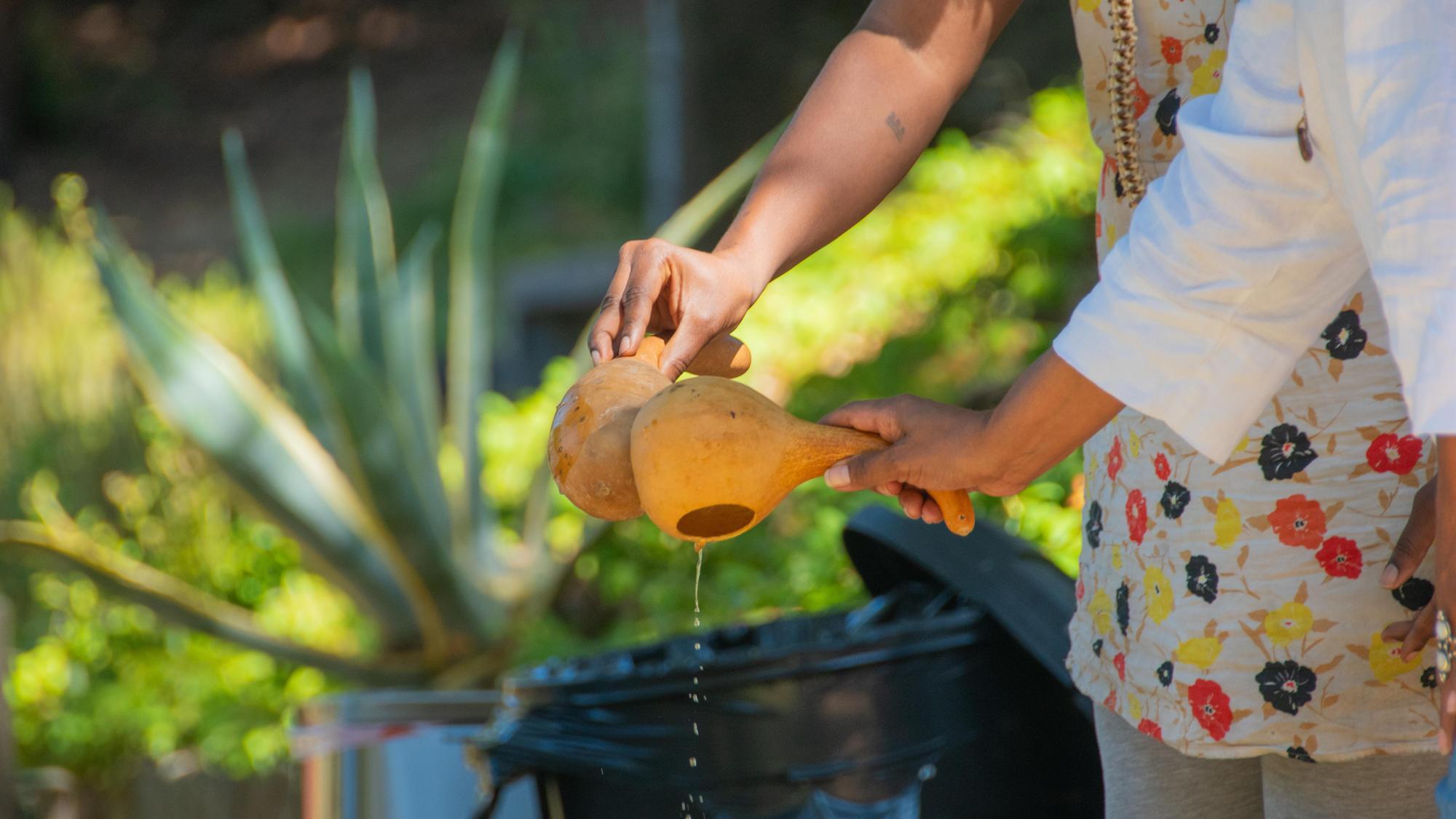 Integrated Wellness Fellowship Retreat