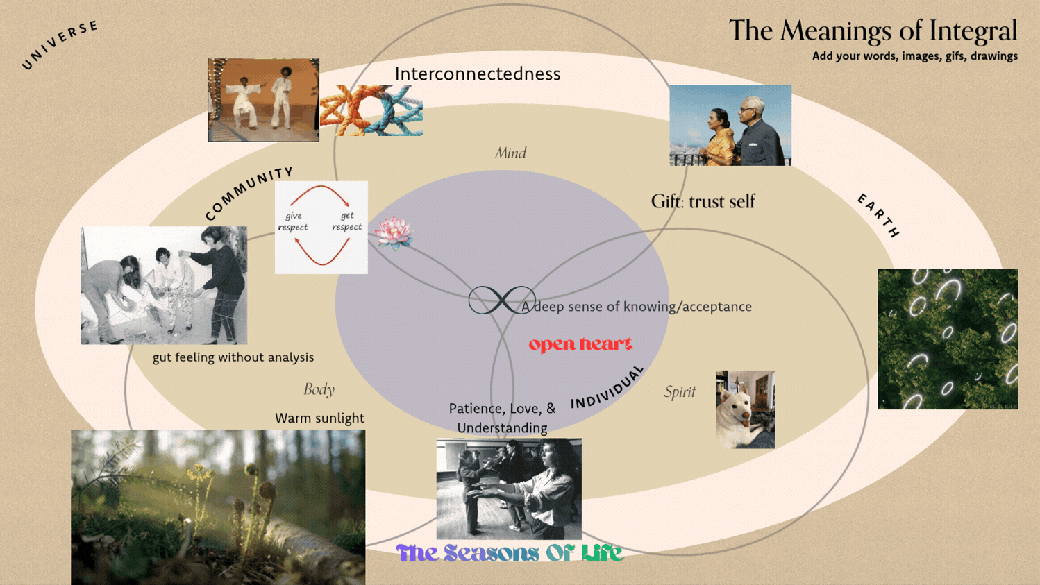 Meanings of Integral Board