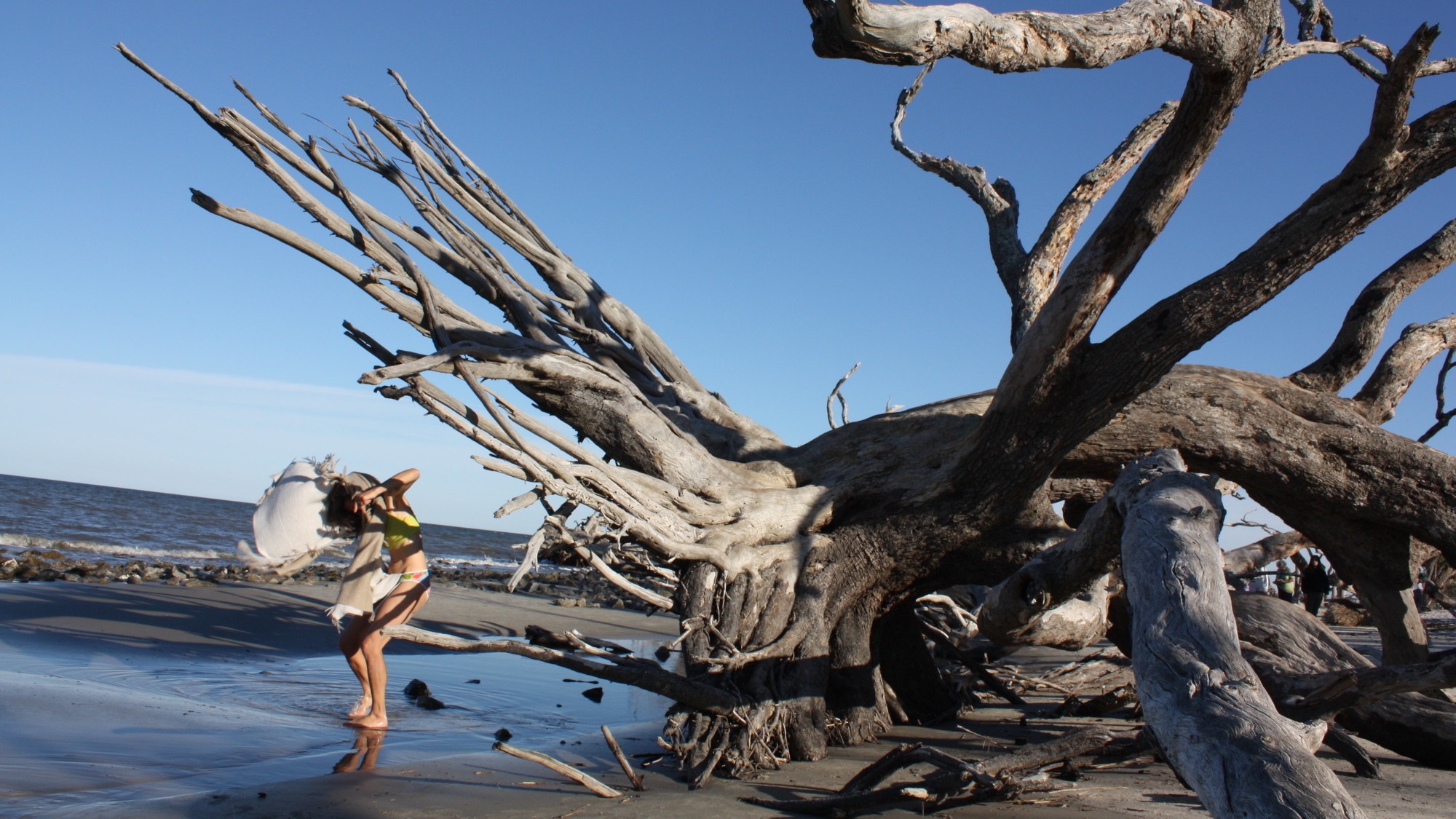 Cara Judea Alhadeff, BoneYard Jekyll Island #42, Self-Portrait in the Anthropocene, 2025