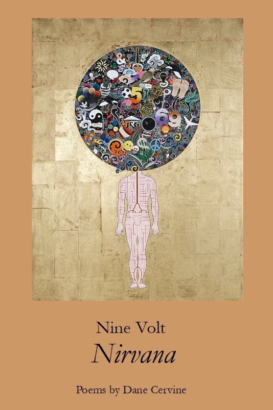 Nine Volt Nirvana, Poems by Dane Cervine