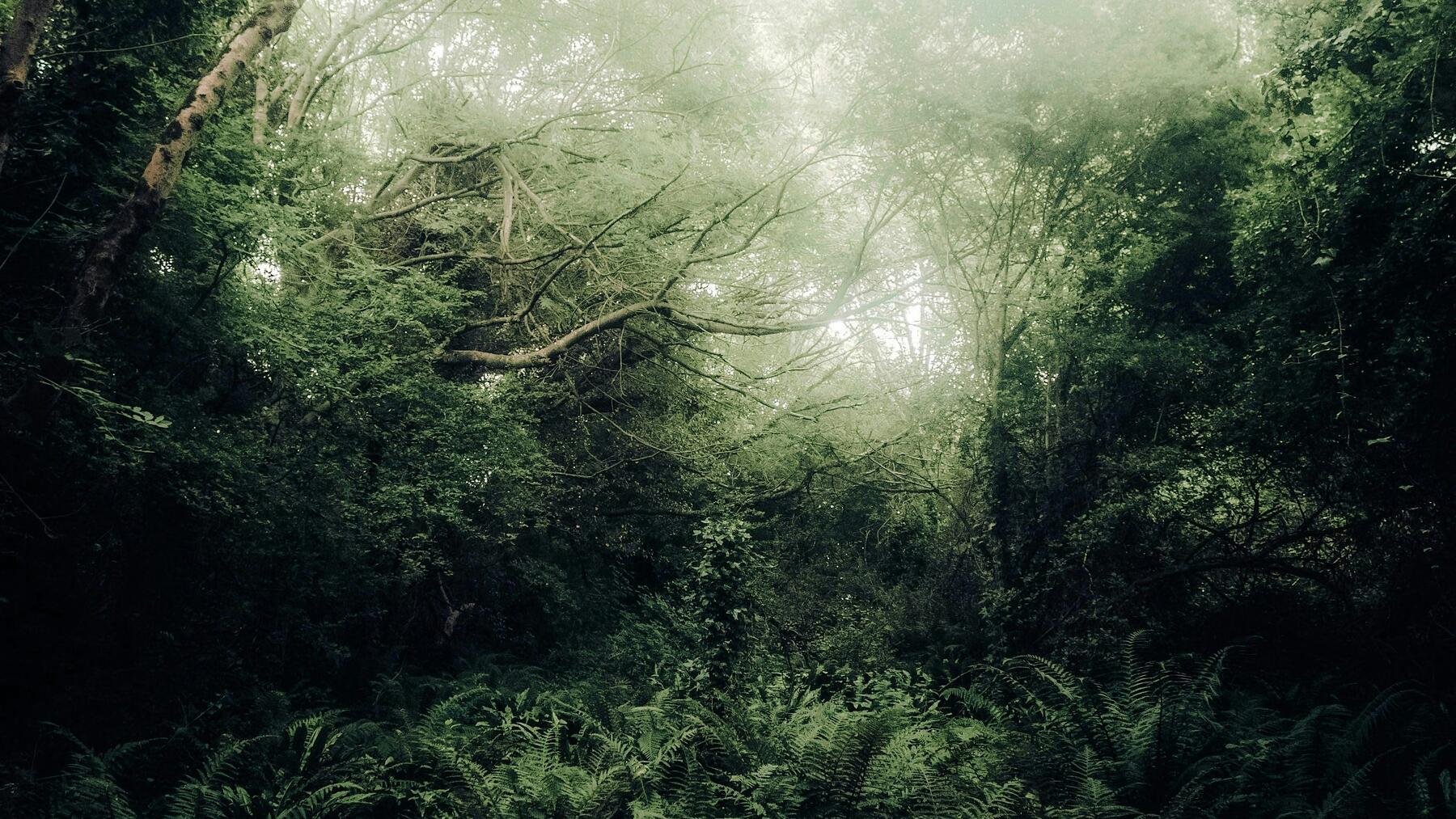 Nourishing Your Nervous System Through Expressive Arts And