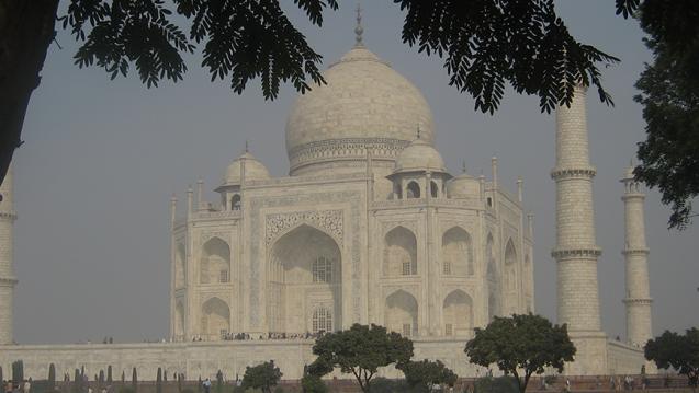 A photo of the Taj Mahal behind a tree line