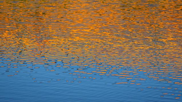 A photo of orange and blue ripples reflected on a water surface.