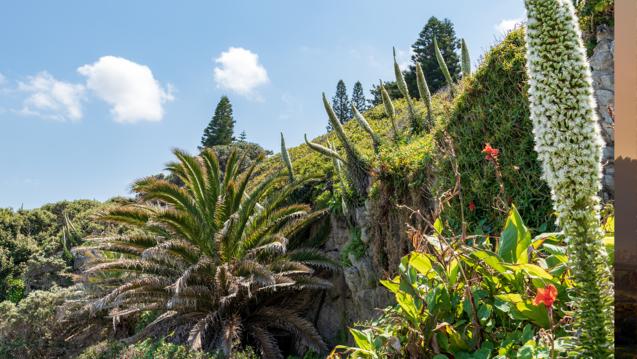 Plants by Grant Durr