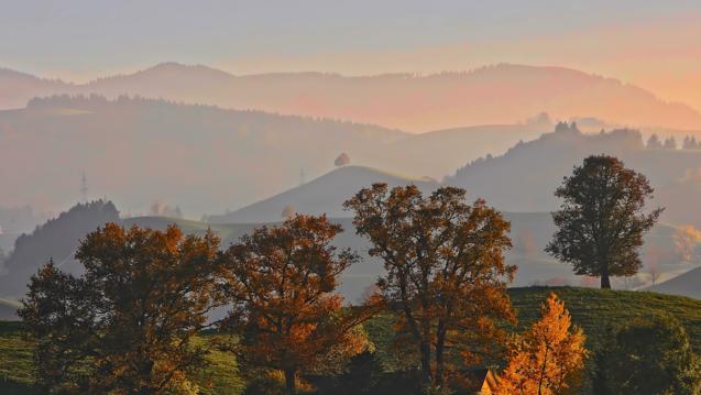 Mountains and trees by Ricardo Gomez