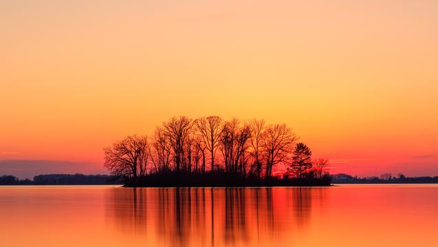 Sunset featuring trees and water