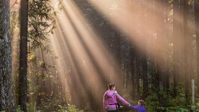 Parent and child walking on a forest path with sun shining through the trees
