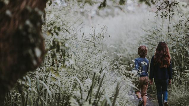 Kids walking through a forest