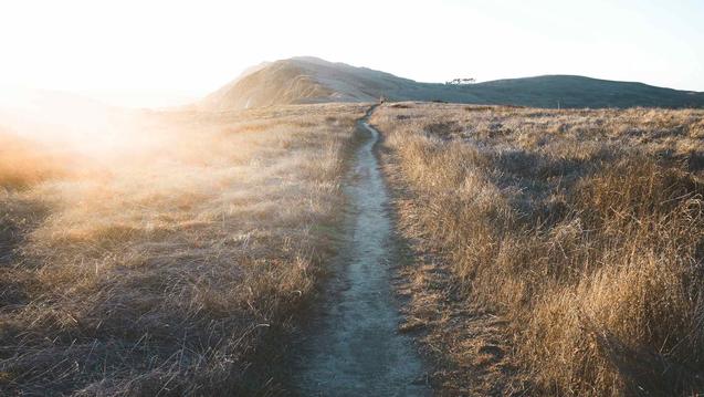 Photo of a narrow footpath in a tall, brown, grassy field. By Craig Melville on Unsplash