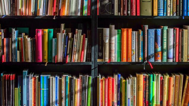 colorful-books-on-black-bookcases