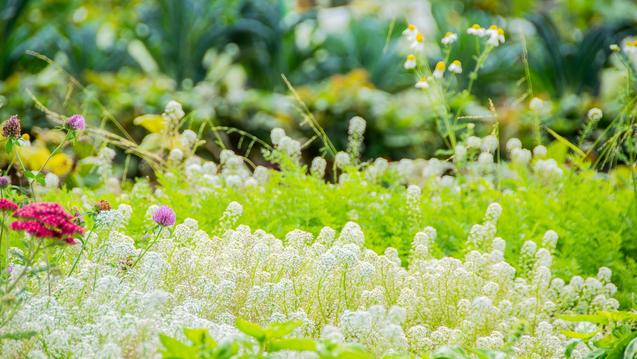 Fall23_EXARetreat_Explorations-5