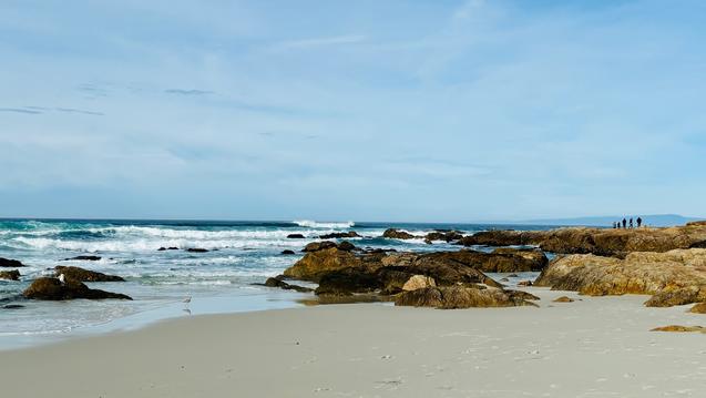 Asilomar, Pacific Grove, CA