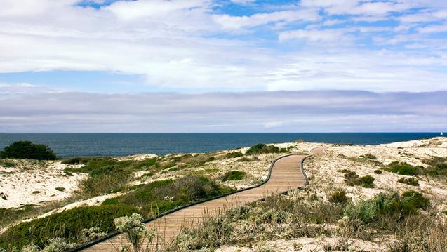 Asilomar boardwalk