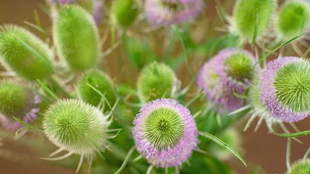 aleksandr-paramonov-Vzd6llGvCV4-unsplash