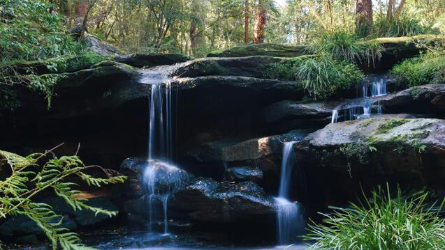 A small waterfall in the middle of a forest