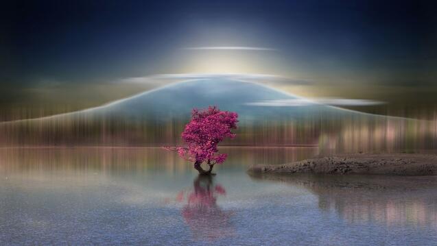 Lone tree with pink leaves in the middle of a lake with mountains in the background.