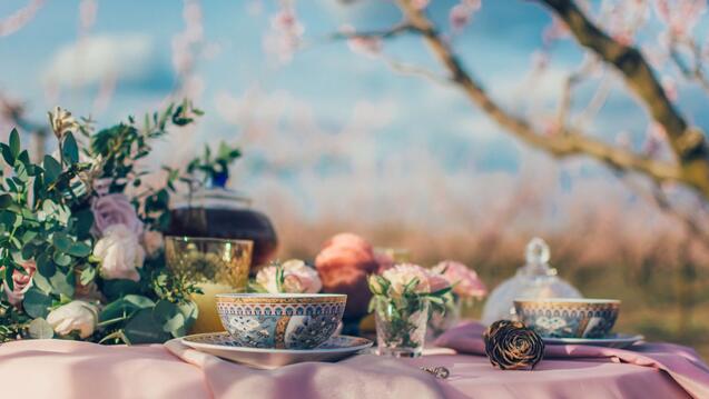 Table with pink tablecloth and two tea cups