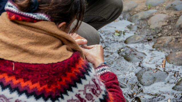 Photos from the Watershed Witness Tour hosted by CIIS alum Joshua Halpern. This event was part of the ESR 2025 Religion and Ecology Summit, which took place from April 21–23, 2025.