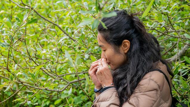 Photos from the Watershed Witness Tour hosted by CIIS alum Joshua Halpern. This event was part of the ESR 2025 Religion and Ecology Summit, which took place from April 21–23, 2025.