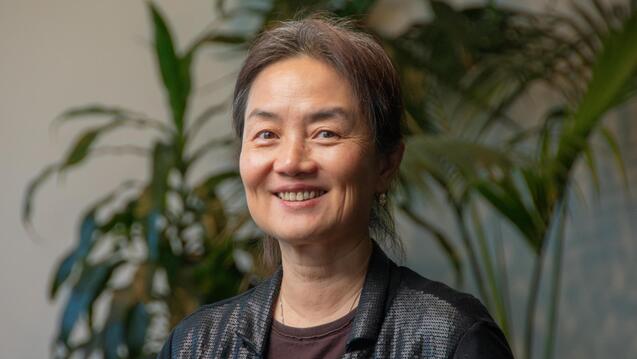 Portrait of Jun Wang