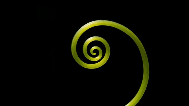Understanding Shamanism (In-Person)