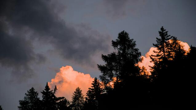 On Caring for Our Souls in Uncertain Times (In-Person)