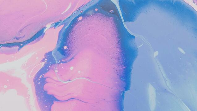 On A Pleasure-Centered Approach to Trans Sexualities (Livestream)