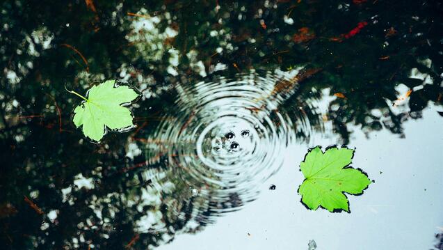 Healthy Relating Through Somatic Awareness
