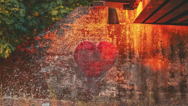 Politicized Somatics for Embodied Transformation