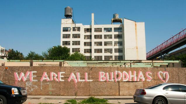 Exploring the Dharma of Liberation (Livestream)