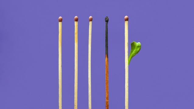 Healing Burnout Through Nature’s Wisdom (In Person)