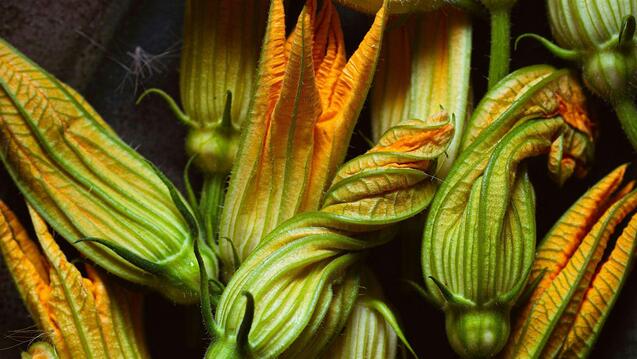 Exploring Indigenous Worldview through Traditional Foodways