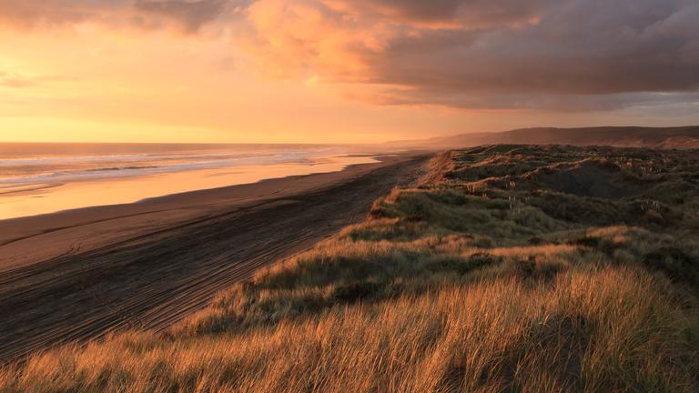 beach shoreline during sunset