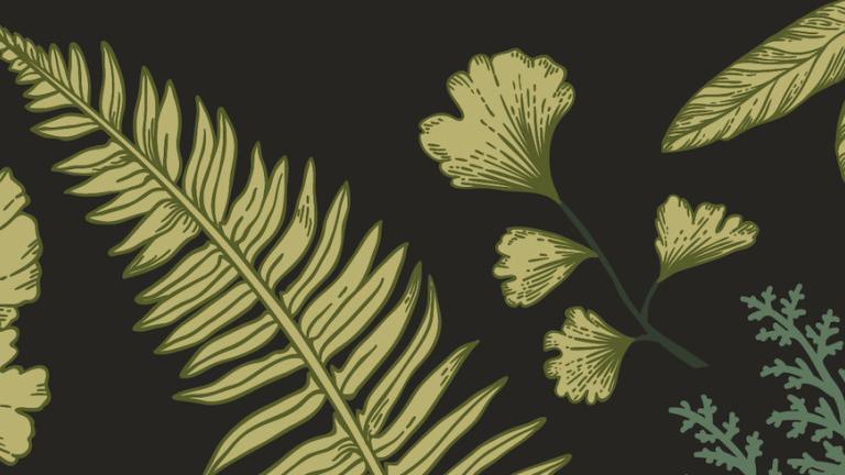 Fern designs on black background