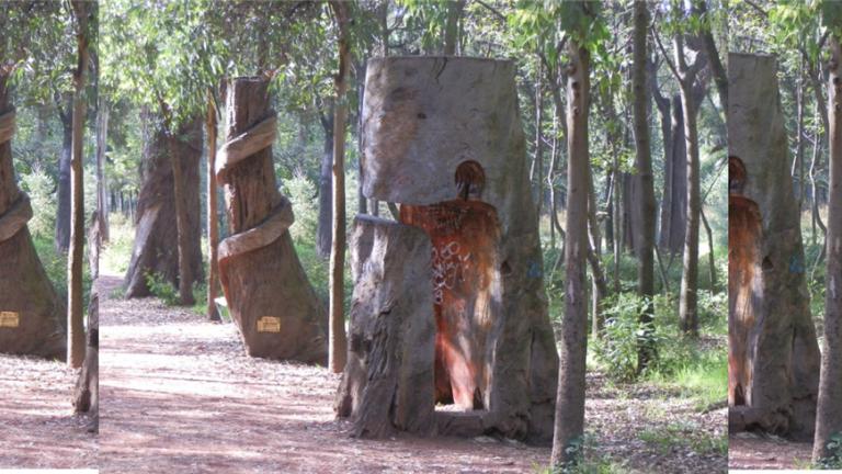 Forest art installation