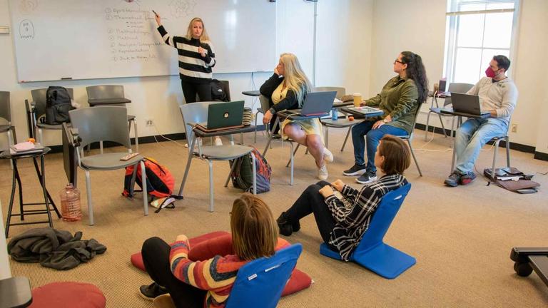 Photo of a class in session. A woman stands pointing at a whiteboard and 5 other people are seated.
