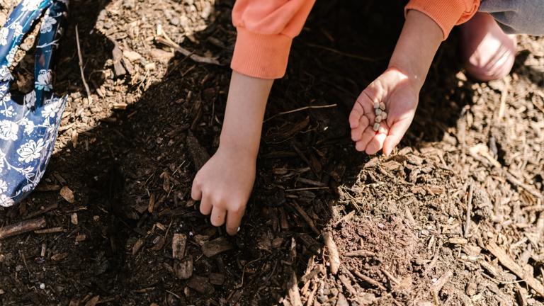 Hands composting photograph by Rodnae productions