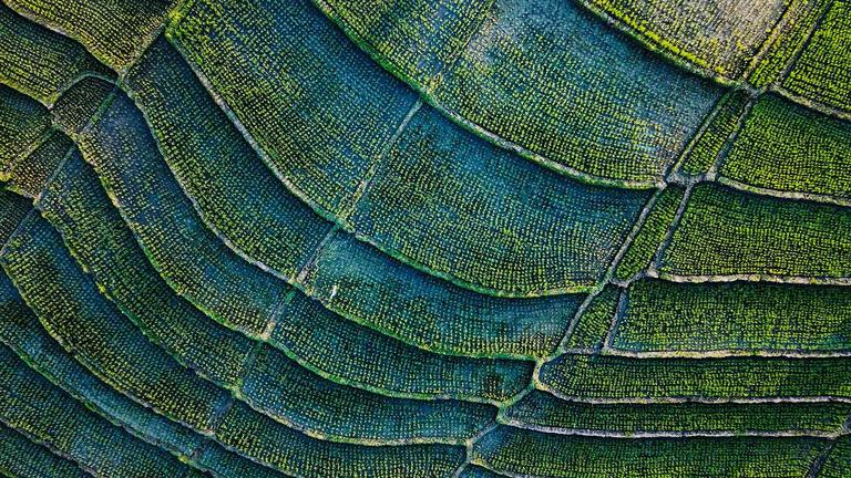 Aerial photo of terraced gardens by Alexey Marchenko on Unsplash