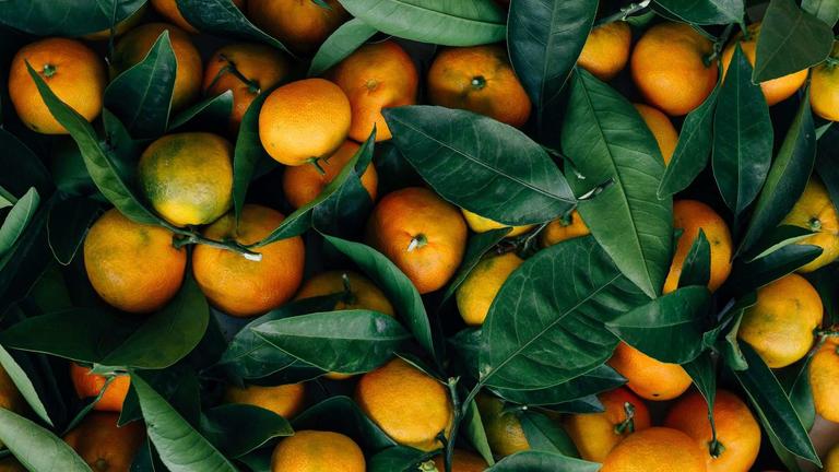 Photo of oranges and leaves by Erol Ahmed on Unsplash